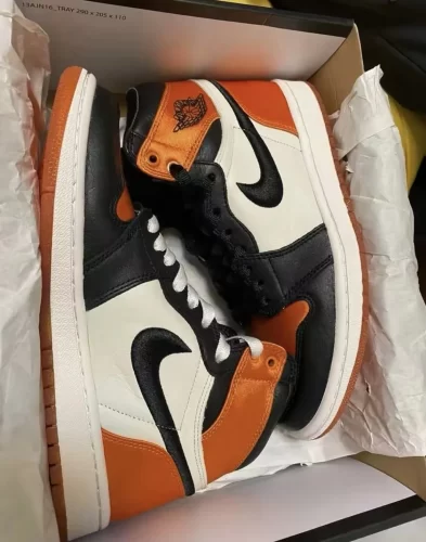 Air Jordan 1 Retro High OG 'Shattered Backboard' photo review