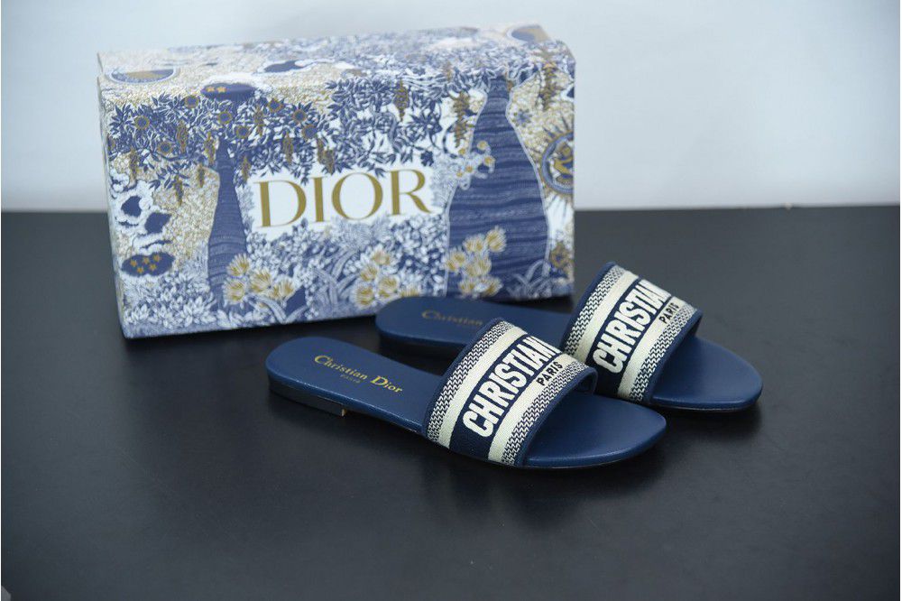 DIOR x kaws sandals blue