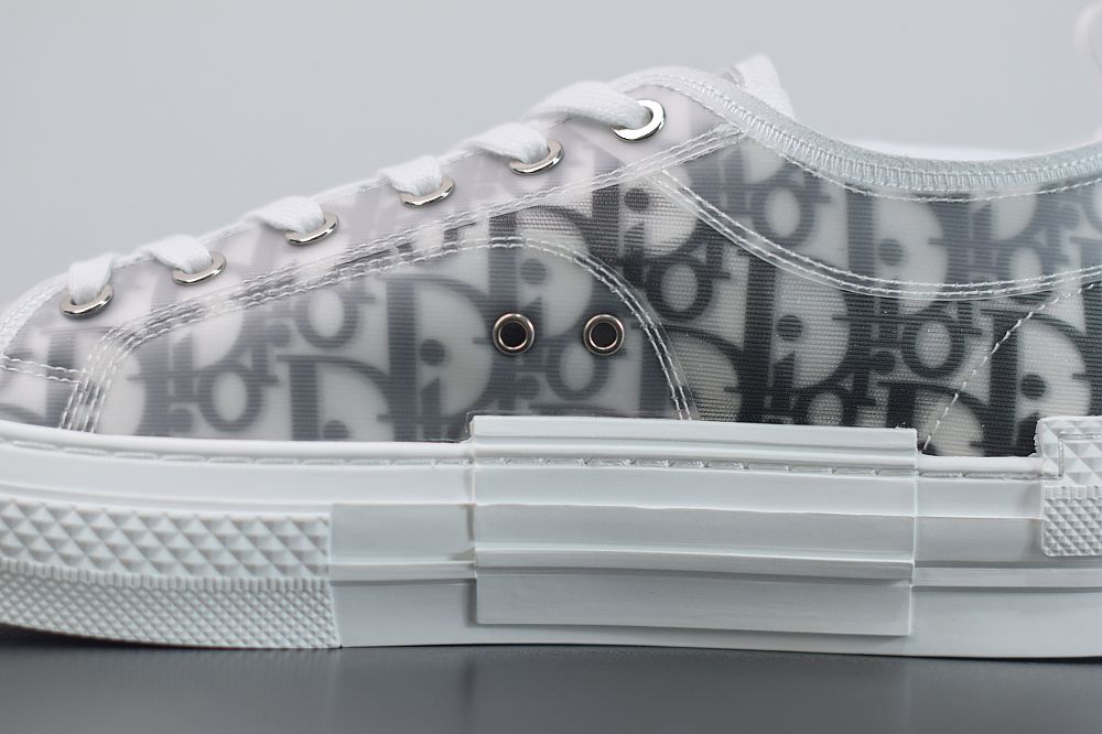 Dior B23 Low Top Logo Oblique