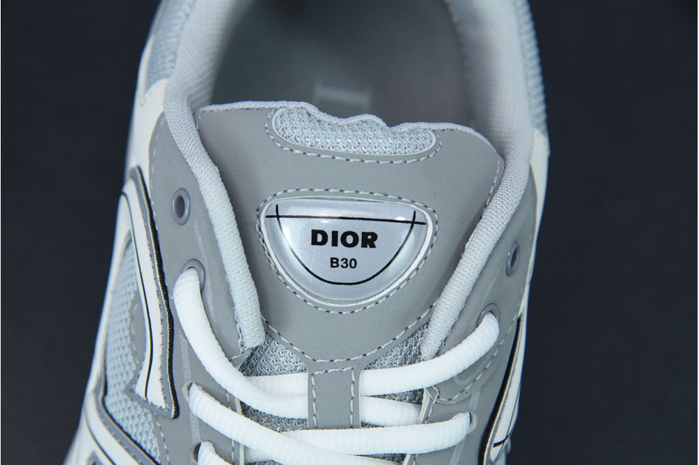 Dior B30 Grey