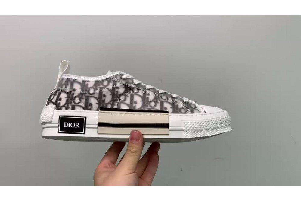 Dior B23 Low Top Logo Oblique