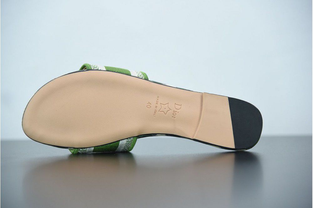 DIOR x kaws sandals GREEN