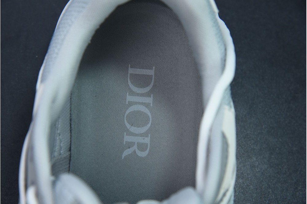 Dior B30 Grey